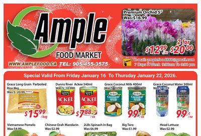 Ample Food Market (Brampton) Flyer January 16 to 22