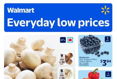 Walmart (ON) Flyer January 22 to 28