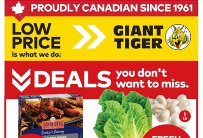 Giant Tiger Canada Flyer Deals January 28th – February 3rd