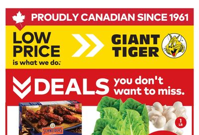 Giant Tiger (ON) Flyer January 28 to February 3