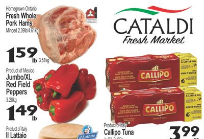 Cataldi Fresh Market Flyer January 28 to February 3