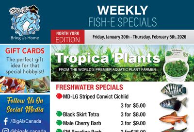 Big Al's (North York) Weekly Specials January 30 to February 5