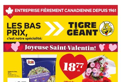 Tigre Géant Flyer February 11 to 17
