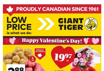 Giant Tiger (West) Flyer February 11 to 17