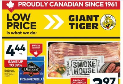 Giant Tiger Canada Flyer Deals February 18th – 24th