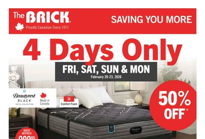 The Brick Flyer February 18 to March 5