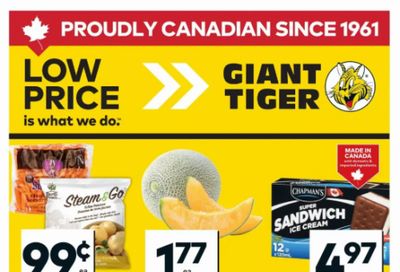 Giant Tiger Canada Flyer Deals March 11th – 17th