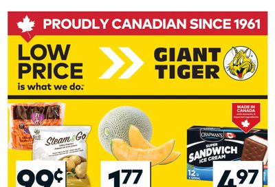 Giant Tiger (ON) Flyer March 11 to 17