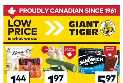 Giant Tiger (West) Flyer March 11 to 17