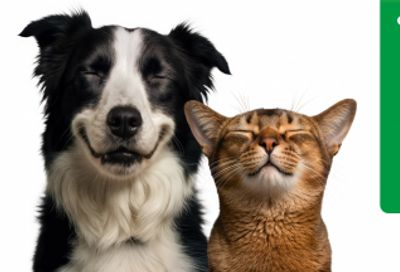 Walmart Canada: Iams Pet Food Rebate up to $20