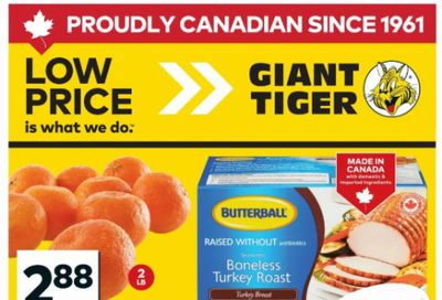 Giant Tiger Canada Flyer Deals March 18th – 24th: Butterball Boneless Turkey Roast $16.47 + More