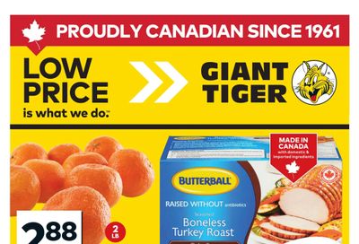 Giant Tiger (ON) Flyer March 18 to 24