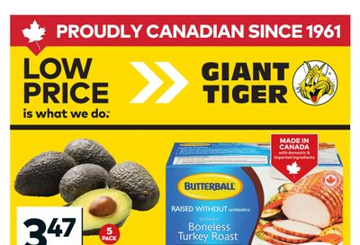 Giant Tiger (West) Flyer March 18 to 24