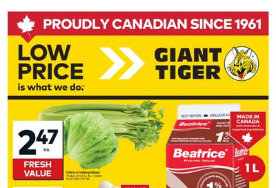 Giant Tiger (West) Flyer April 8 to 14