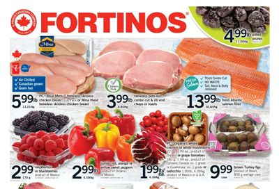Fortinos Flyer April 16 to 22