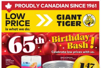 Giant Tiger Canada: 65th Birthday Bash Flyer Deals April 22nd – 28th