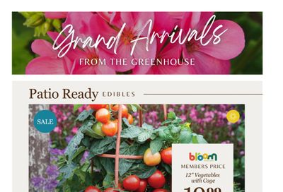 Lakeside Garden Gallery Flyer May 1 to 7