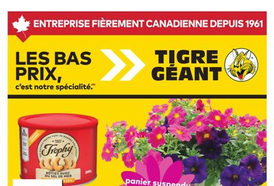 Tigre Géant Flyer May 6 to 12