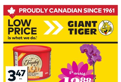 Giant Tiger (Atlantic) Flyer May 6 to 12