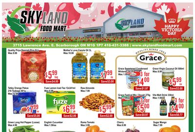 Skyland Food Mart Flyer May 15 to 21