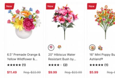 Michaels Canada: Big Summer Sale up to 50% off + 30% Off One Regular Priced Item + More