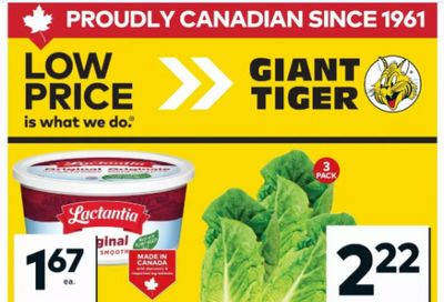 Giant Tiger Canada Flyer Deals May 20th – 26th: 3 Pack Romaine Hearts $2.22 + More