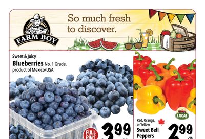 Farm Boy Flyer May 28 to June 3