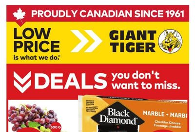 Giant Tiger (Atlantic) Flyer June 3 to 9