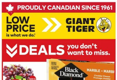 Giant Tiger Canada Flyer Deals June 3rd -9th