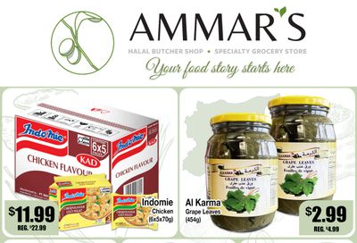 Ammar's Halal Meats Flyer June 4 to 10