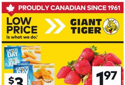 Giant Tiger Canada Flyer Deals June 10th – 16th