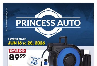 Princess Auto Flyer June 16 to 28