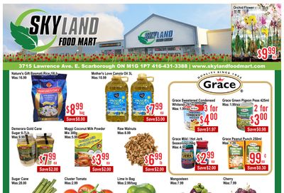 Skyland Food Mart Flyer June 12 to 18