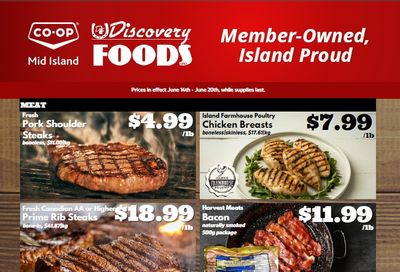 Discovery Foods Flyer June 14 to 20