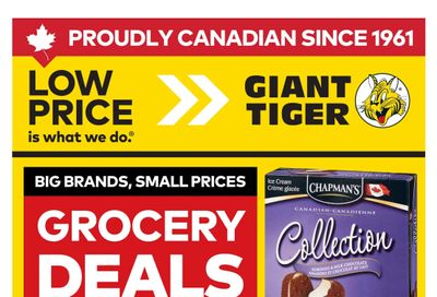 Giant Tiger (ON) Flyer June 17 to 23