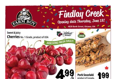 Farm Boy (Findlay Creek) Flyer June 18 to 24