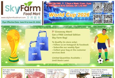SkyFarm Food Mart Flyer June 19 to 25