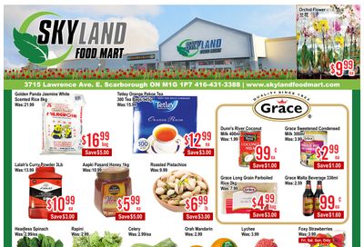 Skyland Food Mart Flyer June 19 to 25