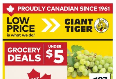 Giant Tiger Canada Flyer Deals June 24th – 30th: Shopsy’s Wieners $2.97 + More