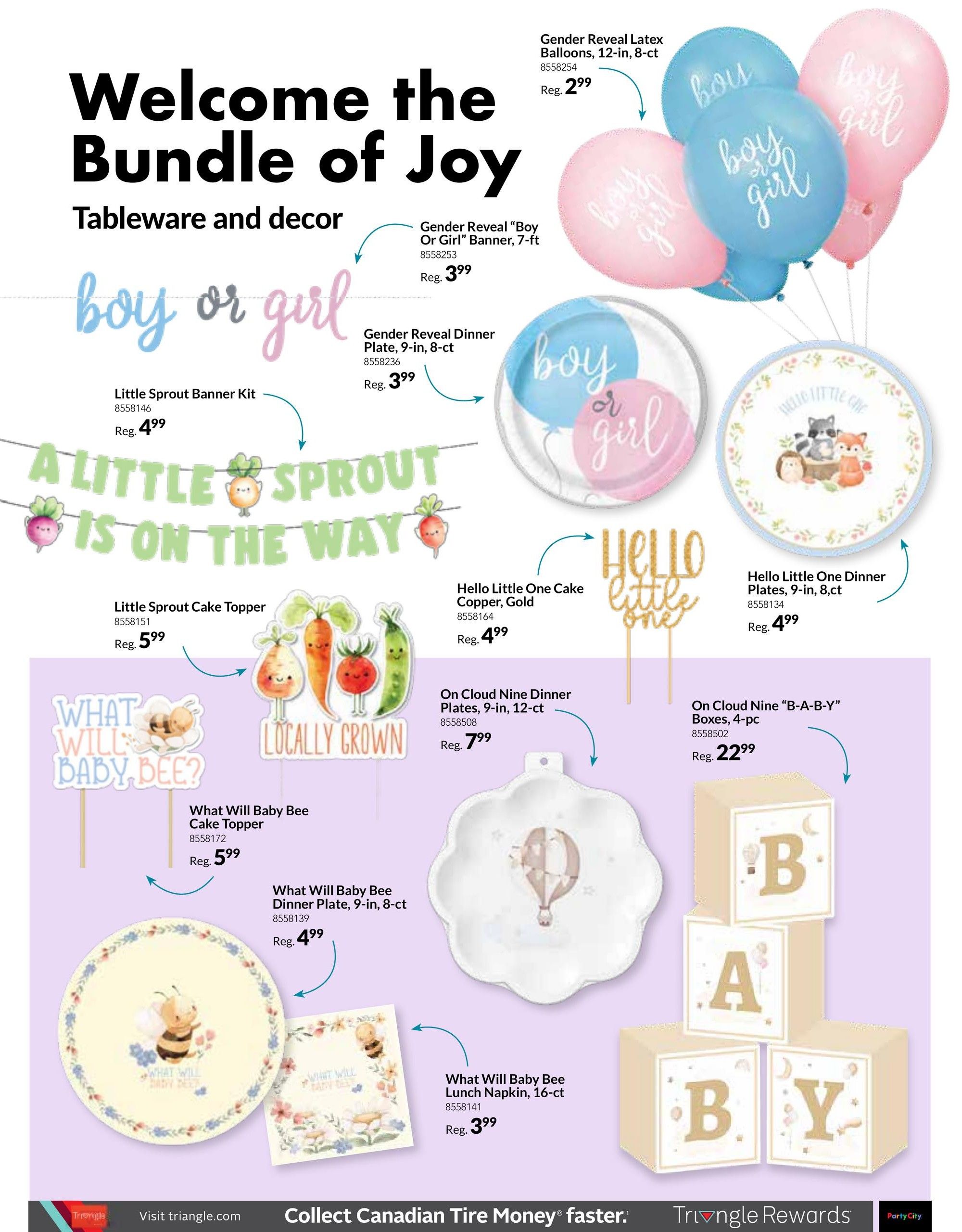 Party City Flyer June 26 to September 3