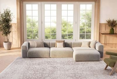 SAFAVIEH Reflection Collection 6' x 9' Beige/Cream RFT670A Vintage Distressed Area Rug
