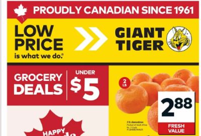 Giant Tiger Canada Flyer Deals July 1st – 7th
