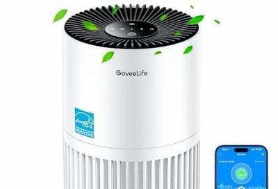 Amazon.ca: GoveeLife Air Purifier BOGO $108.99