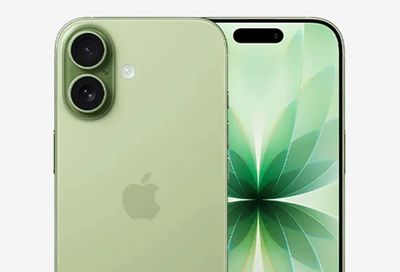 TSC.ca: Apple iPhone 17 256 GB (open box, green) - $869.99
