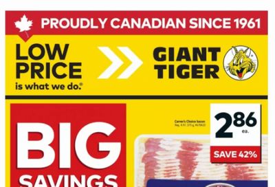Giant Tiger Canada Flyer Deals July 8th – 14th