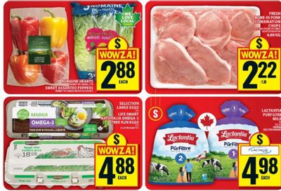 Food Basics Ontario: Lactantia PureFiltre 4L Milk $4.98 July 9th – 15th + More