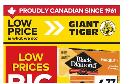 Giant Tiger (Atlantic) Flyer July 15 to 21