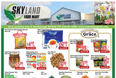 Skyland Food Mart Flyer July 17 to 23
