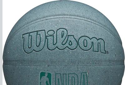 Amazon.ca: Wilson DRV Pro Basketball $23.78