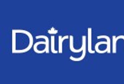 Money-saving coupons valid on participating Dairyland products